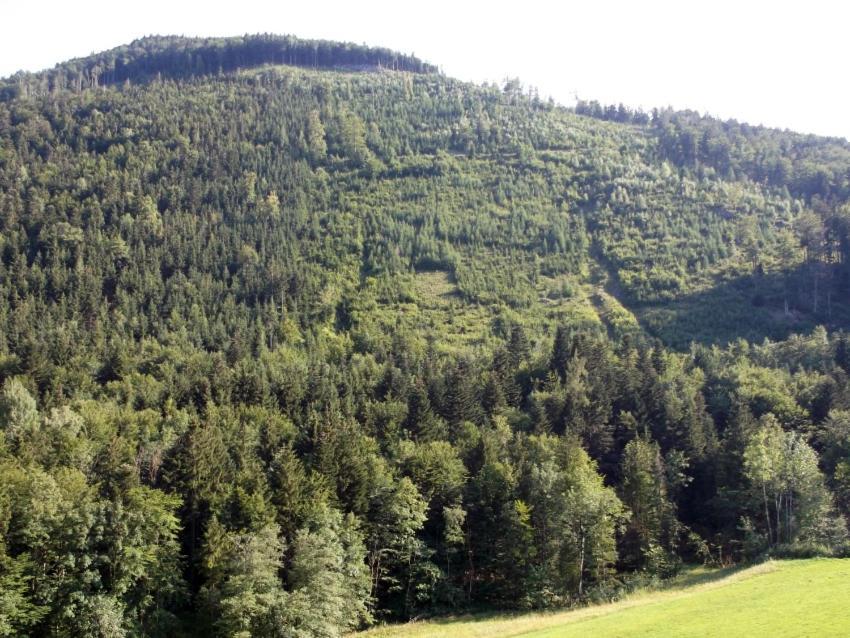 Kleine Einfache Ferienwohnung In Malerischer Umgebung Salzburgs Копль Экстерьер фото