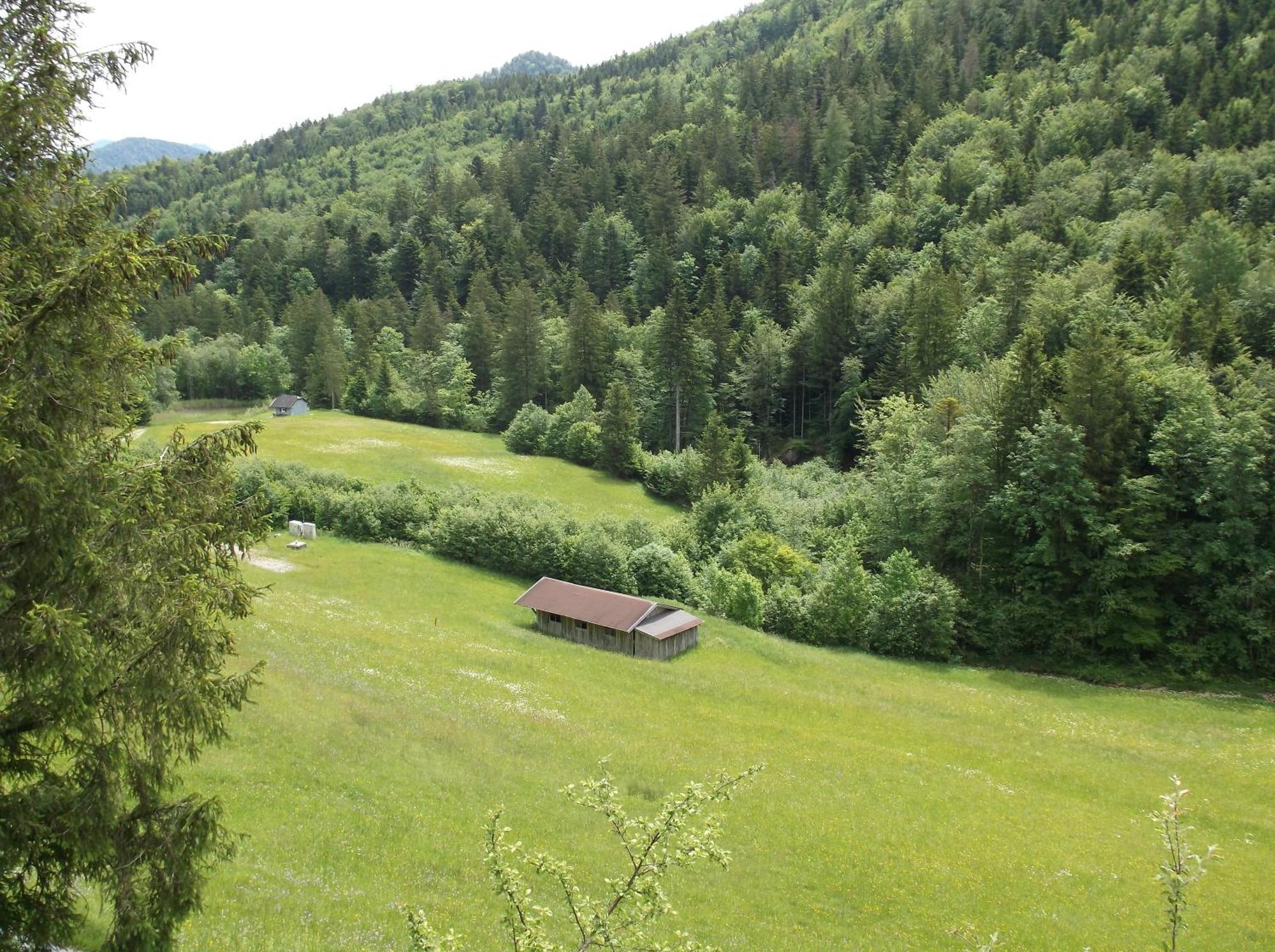 Kleine Einfache Ferienwohnung In Malerischer Umgebung Salzburgs Копль Экстерьер фото